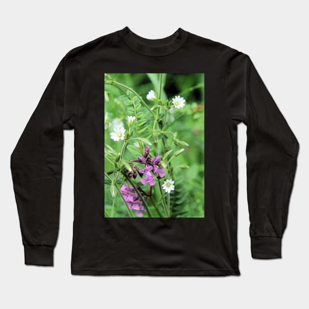 Meadow home Long Sleeve T-Shirt by WesternExposure